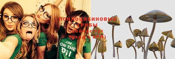 прущая мука Дмитров
