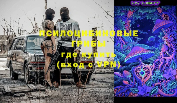 стафф Дмитровск
