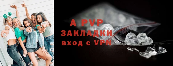 стафф Дмитровск