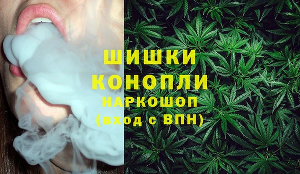 стафф Дмитровск
