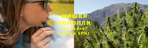 стафф Дмитровск