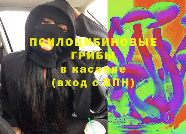 прущая мука Дмитров